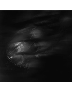 Ataraxia Series - The Black...