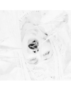 Ataraxia Series - This...